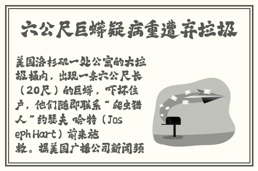 国产强伦姧**完整版